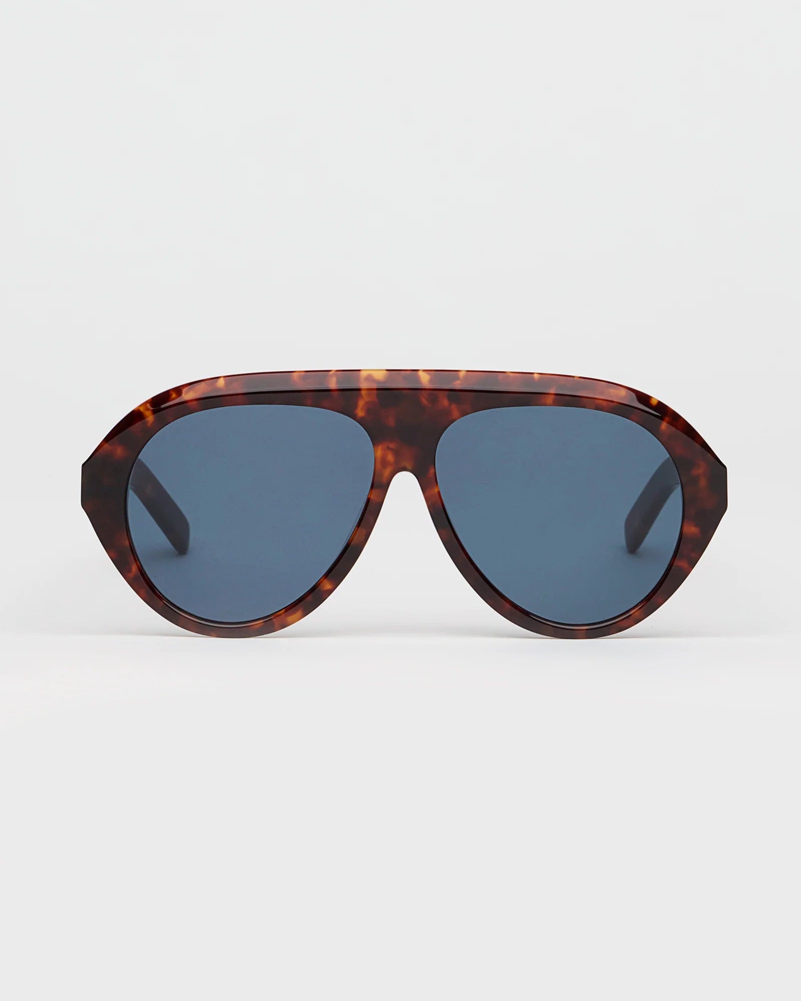 The Icon Tortoise