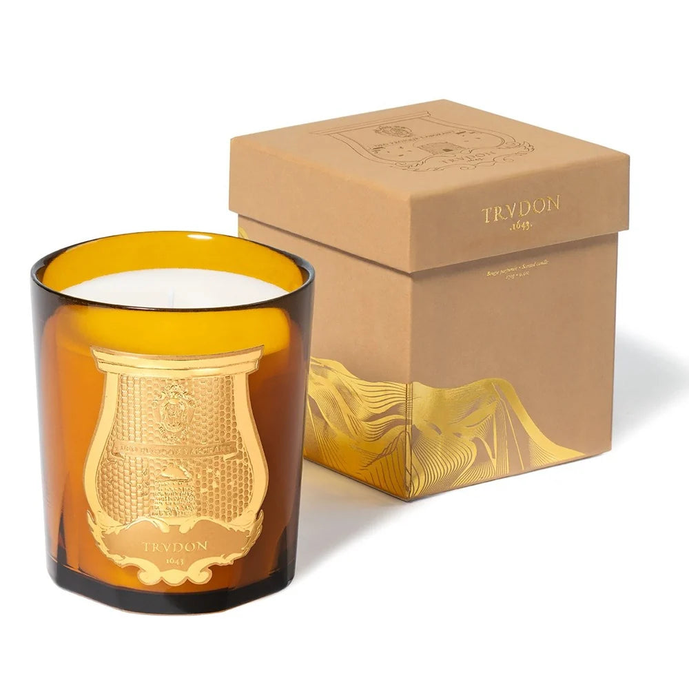 Scented Candle Altaïr 2.8 kg